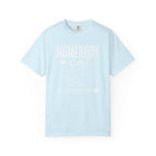 Homebody Cat All Day Every Day T-Shirt C - Chambray